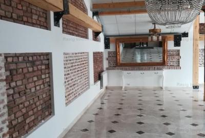 Vila zona Ion Mihalache - 10