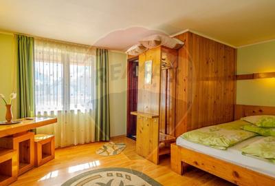 VILA SCANDINAVIA / Pensiune / Moieciu de Sus - 15