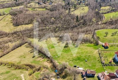 Vanzare teren intravilan 37723 mp Zarnesti Tohanita - 1