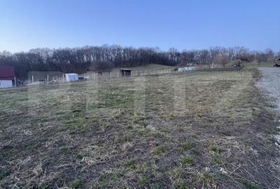 Spațiu comercial, în Central - 1