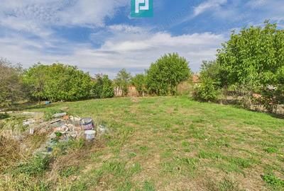 Casa spatioasa ?i solida in Pecica - 14