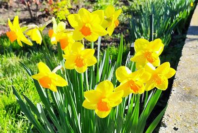 Casa pe lac de vanzare! - 5