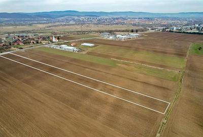 Teren agricol intravilan de 7850 mp, în Chilieni - 2