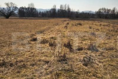 Teren de 4000 mp, în Central