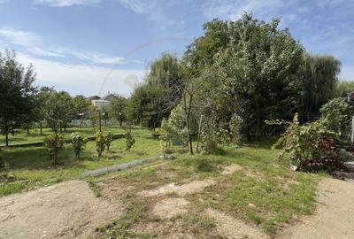 Casa 3 camere, Teren 1875 mp Loc. Tiream Jud. Satu Mare-Comision 0% cumparator - 13