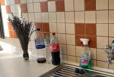 Pe frumoasa strada Platanilor, renumita pentru zona inverzita-zona IOSEFIN-mobilat - 15