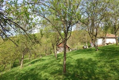 Teren intravilan si cladire in Apuseni, Blajeni, Hd Teren intravilan si cladire in Apuseni, Blajeni, Hd - 12