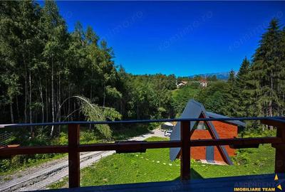 Ansamblu case A Frame cu vedere la Piatra Craiului Moieciu, Brasov - 4