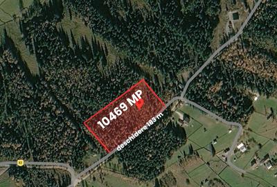 Teren extravilan de 10469 mp, în Sud