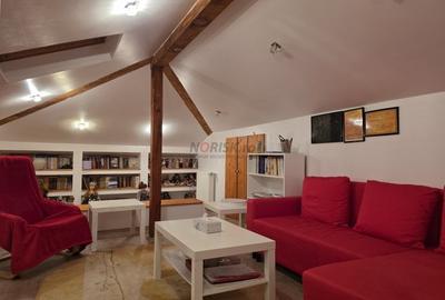 Vila mediteraneana moderna - Mogosoaia - 18