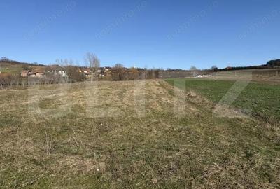 Teren de 5800 mp, în Hereclean - 5