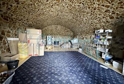 Casă individuală cu 4 camere cu Teren 27000 Mp în Codrișoru - 9