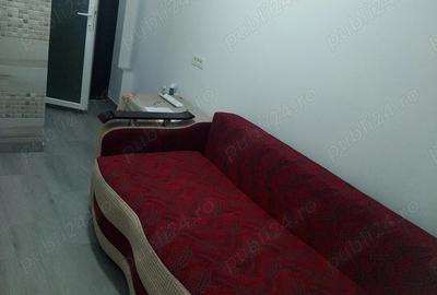 Camera camin Valea Rosie - 9