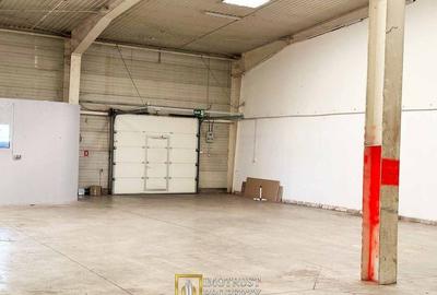 Hală 227 mp UTA Arad – Acces rapid auto și transport public - 6