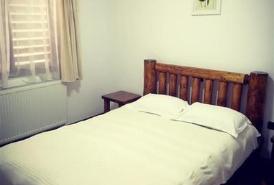 Vila/Pensiune cu 12 camere teren de 2.000 mp de vanzare in Campulung Muscel Arge - 10