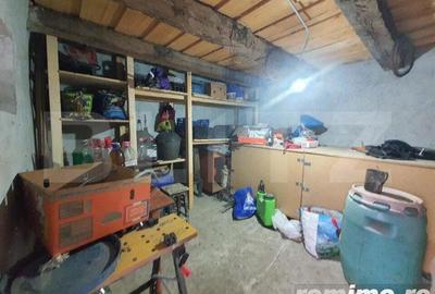 Casa individuala + 7,1 ha de teren dispersat, in Pinticu - 1