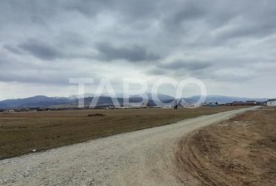 Teren intravilan 11.400 mp deschidere 45 ml in Talmaciu zona de case - 3