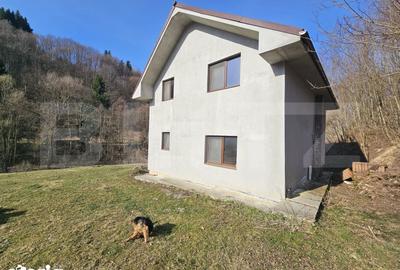 Casă cu 6 camere cu Teren 4159 Mp în Telciu - 10