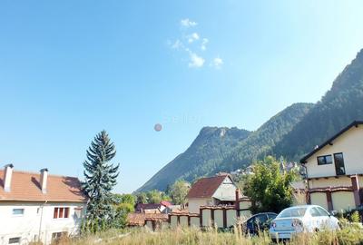 Teren Intravilan - Pozitionare Centrala - 3