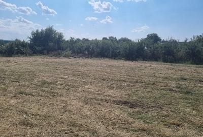 Teren Construcții intravilan de 3417 mp, în Poiana - 5