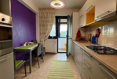 Apartament cu 2 camere semidecomandat în Valea Lupului - 4