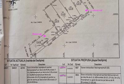 Teren de 42000 mp, în Crișeni - 4