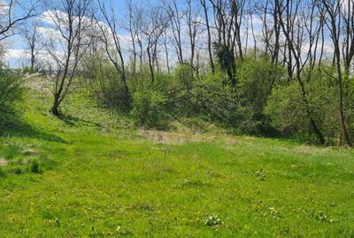 Spațiu comercial, în Stâlpeni