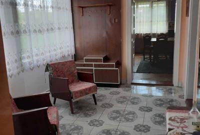 Casă cu 3 camere în Viile Satu Mare - 2