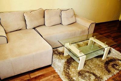 Inchiriere apartament cu 2 camere in zona Dristor - 3