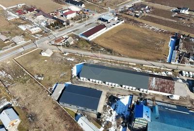 Hale industriale de inchiriat in Tg Neam? - 5