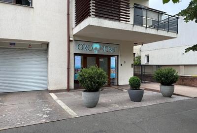 Spațiu comercial, de 98 mp, în Domenii - 1