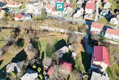 Casa de lemn, cu teren in Bor?a - 13