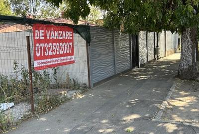 Giurgiului, Toporasi, stradal Giurgiului, Toporasi, stradal - 13