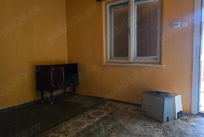 Casă cu 2 camere cu Teren 1585 Mp în Brănișca - 6