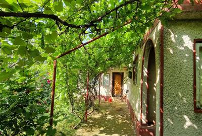 Vand casa comuna Amaru jud. Buzau - 10