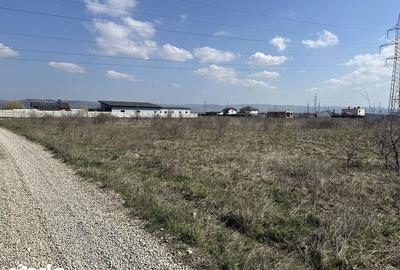 Teren de 6000 mp, în Mărăcineanu - 1