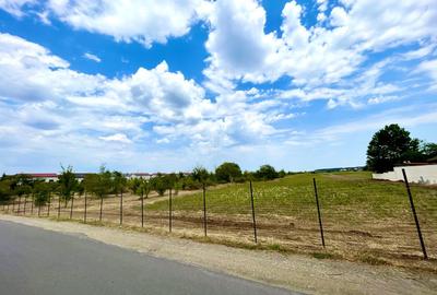 Teren Construcții intravilan de 51772 mp, în Corbeanca