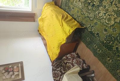 Vand garsoniera calea buziasului 22 mp - 4