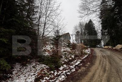 Teren unic, exclusivist 4000 mp, in inima muntilor, Sinaia - 12