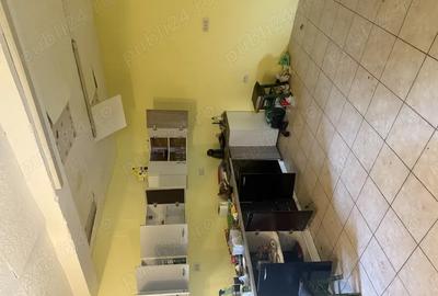 Vand casa batraneasca renovata - 5