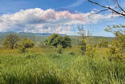 Teren Construcții intravilan de 5565 mp, în Giulești - 3