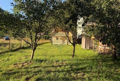 Casa de vacanta pe Valea Lotrioarei in cadru de vis - 7
