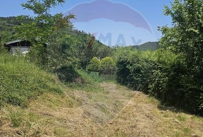 Teren  intravilan  de vanzare Oras  Saliste  Strada Livezii Jud. Sibiu - 28