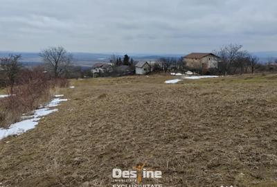 Teren în Mogoșești - 2