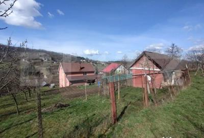 Casă cu 4 camere cu Teren 2000 Mp în Central - 11