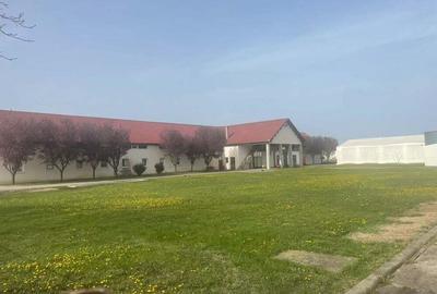 Inchiriez spatii comerciale si industriale in Dumbravita - 19