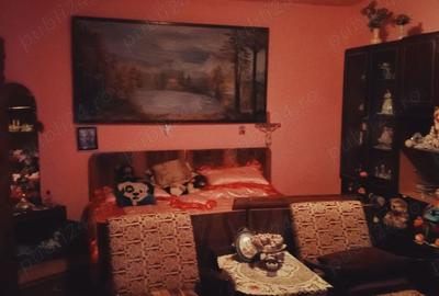 Casa Deta de vanzare. - 5