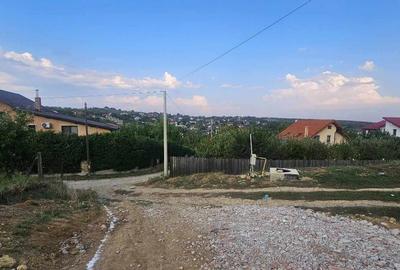 Teren intravilan , Bucium Barnova - 4