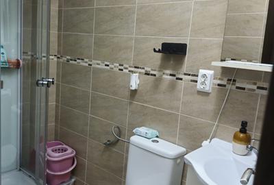 Garsonieră decomandată, mobilată în Galata - 10