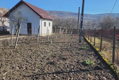 Casă individuală cu 4 camere cu Teren 3000 Mp în Văleni-Podgoria - 11